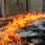 Fire in Washington
