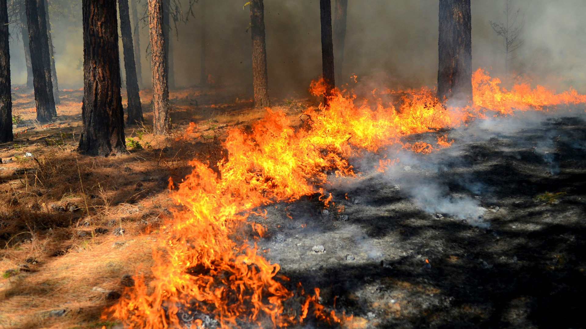 Fire in Washington